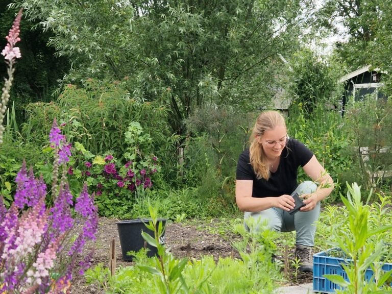 Moestuin vrijwilligers