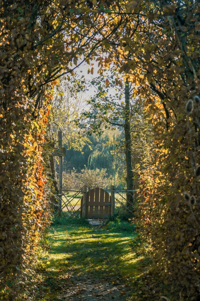 Kloostertuin 1