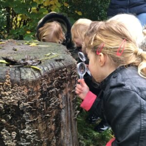 MAK activiteit: Het Boezelbospad