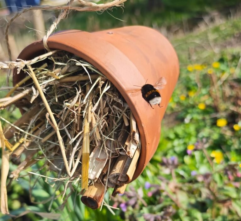 insectenhotel