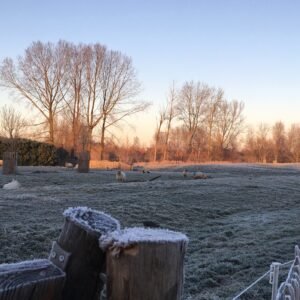 MAK activiteit: Wij en andere dieren in de winter