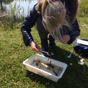 MAK activiteit: Wervelend Waterleven