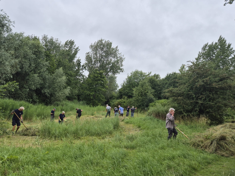 Landwerkdag